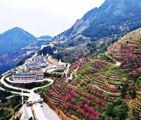 Daiking Whisky Manor Hotel Hotels in Pinghe