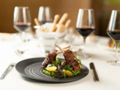 Riu Plaza Guadalajara Hotels in Guadalajara