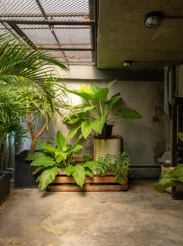 รูปภาพของHouse of Machine Boutique Hotel