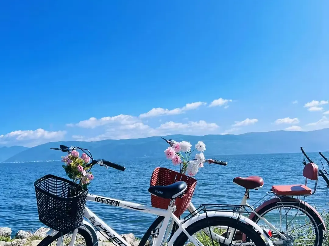 Erhai · Cangyin Luqi | Sunrise View Resort Inn - Dali