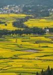 Xingyi Wanfeng Lin Qingfengjuju - vue sur la montagne