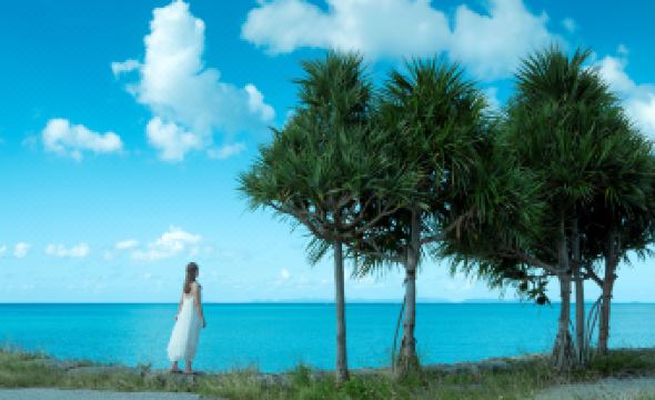 Southern Beach Hotel & Resort