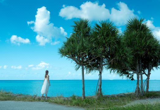 2. 서던 비치 호텔..