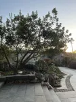 Hidden Mountain Yi homes - Business