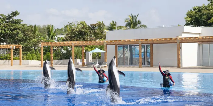 Atlantis Sanya image 2