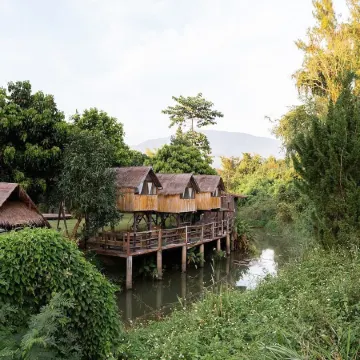 Lion Cafe Resort