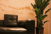 jinshi - مطابخ