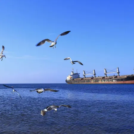 Coral Sea Seaview Homestay (Rongcheng Naxianghai Shop)