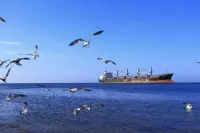 Coral Sea Seaview Homestay (Rongcheng Naxianghai Shop) - 2-نجوم