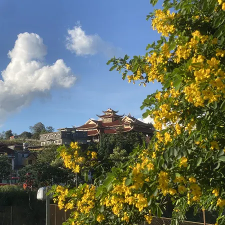 Viet Valley Hotel & Spa - Lake View Sapa