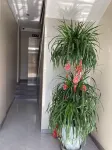 Xi Yuxiuyuan Homestay (Little Western Paradise) - parking