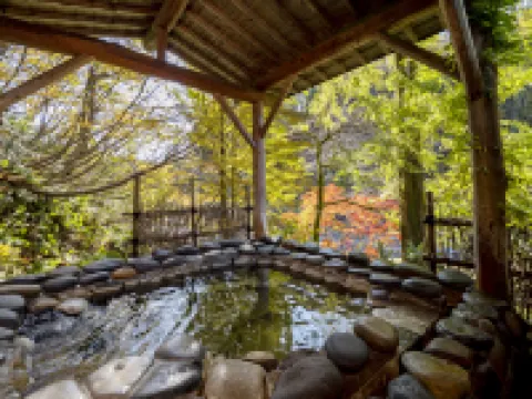 Rankeisou Hotels in Sanjo