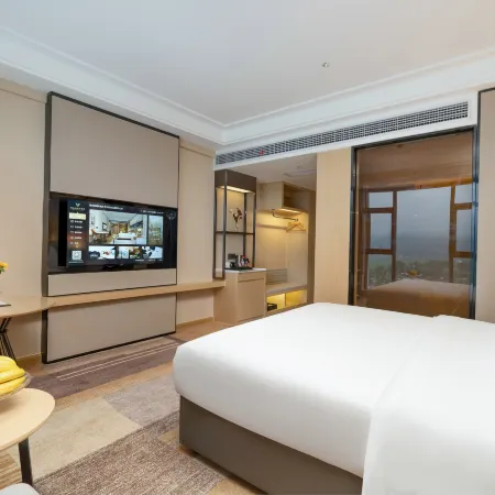 Vienna International Hotel (pingxiang Wugong Mountain Visitor Center)