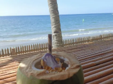 Treasure Beach Resort Hotels in Carles