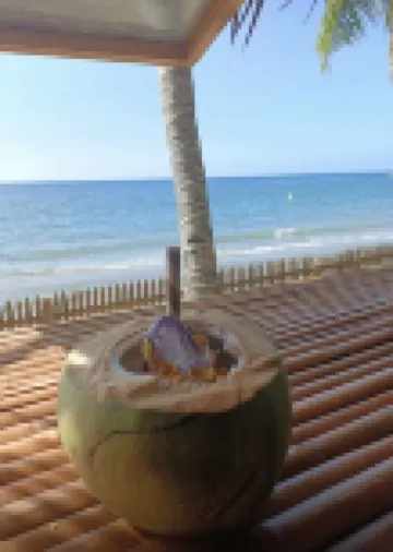 Treasure Beach Resort