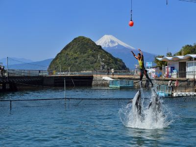 ホテル周辺 ホテルラフォーレ修善寺の写真