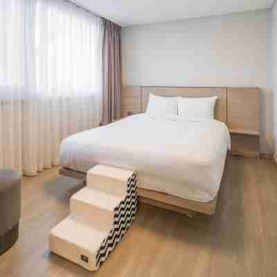 금호리조트 설악 Rooms