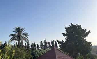 Dar Louzir a Tazarka
