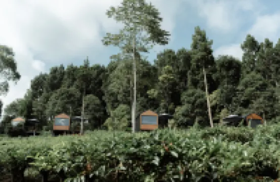 Bobocabin Dieng Pass, Batang Hotels in 