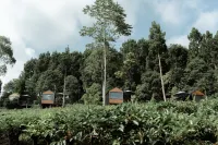 Bobocabin Dieng Pass, Batang Hotels in Bawang