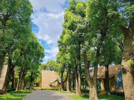 Wenzhou Fennie Te'en Forest Farm Отели рядом с достопримечательностью «Wenzhou University (Chashan South Campus)»