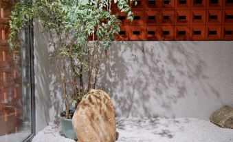 Shanhaiju