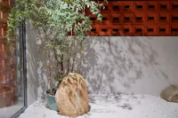 Shanhaiju - Mountain view