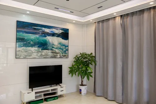 Island Homestay (Maoming China's First Beach Store) - Homestays