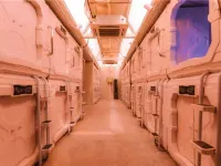 Mars Camp