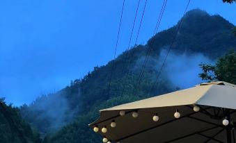The northern mountain in Xianju has a plum tree named Su