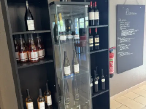 克萊蒙費朗北里永康鉑酒店 里永酒店