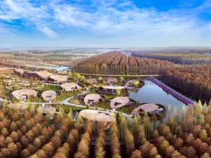 Jinhu Water Forest Scenic Area, Jinhu Water Forest · Gangfu Junlan Hot Spring Resort Hotel