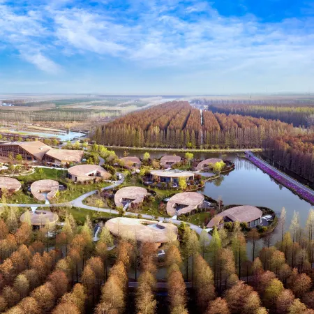 Jinhu Water Forest Scenic Area, Jinhu Water Forest · Gangfu  Hot Spring Resort Hotel