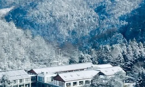 Tianmu Mountain TianMUyin Hotel, Xinchang