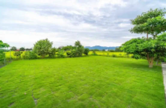 宜蘭樂山水休閒民宿