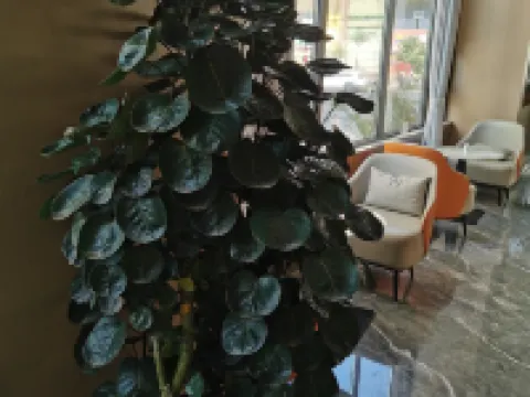 Meilin Holiday Hotel Hotels in Wenchang