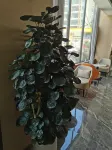 Meilin Holiday Hotel