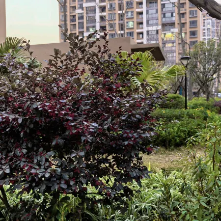 Baoshan Muyi Homestay