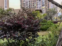 Baoshan Muyi Homestay