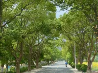 Putuo Mountain Qingyue Homestay โรงแรมใกล้ร้อยบัซซา