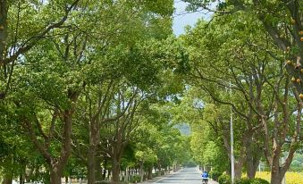 Putuo Mountain Qingyue Homestay