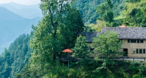 Songyang Buzhinian Homestay - bar
