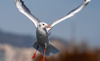 Lake Villa Yunhupan Chinese Inn (Kunming Dianchi Haigeng Dam)
