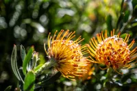 Gypsy's Rest Hotels in Sorell