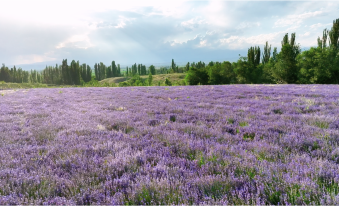 AC Hotel Xinjiang Sayram Lake