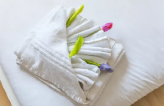 Skyline Haven: Modern 2BR w/ Free Parking & 4kTV