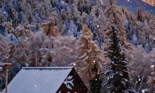 Ta'er Homestay (Baihaba Village Branch)