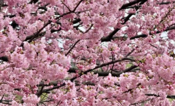 Wuxi Huayi Mingdu Hotel