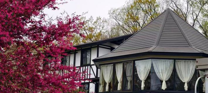 Floral Hotel · Sakura-zaka Onsen (Izu Kogen Omuroyama) Hotels in Ito