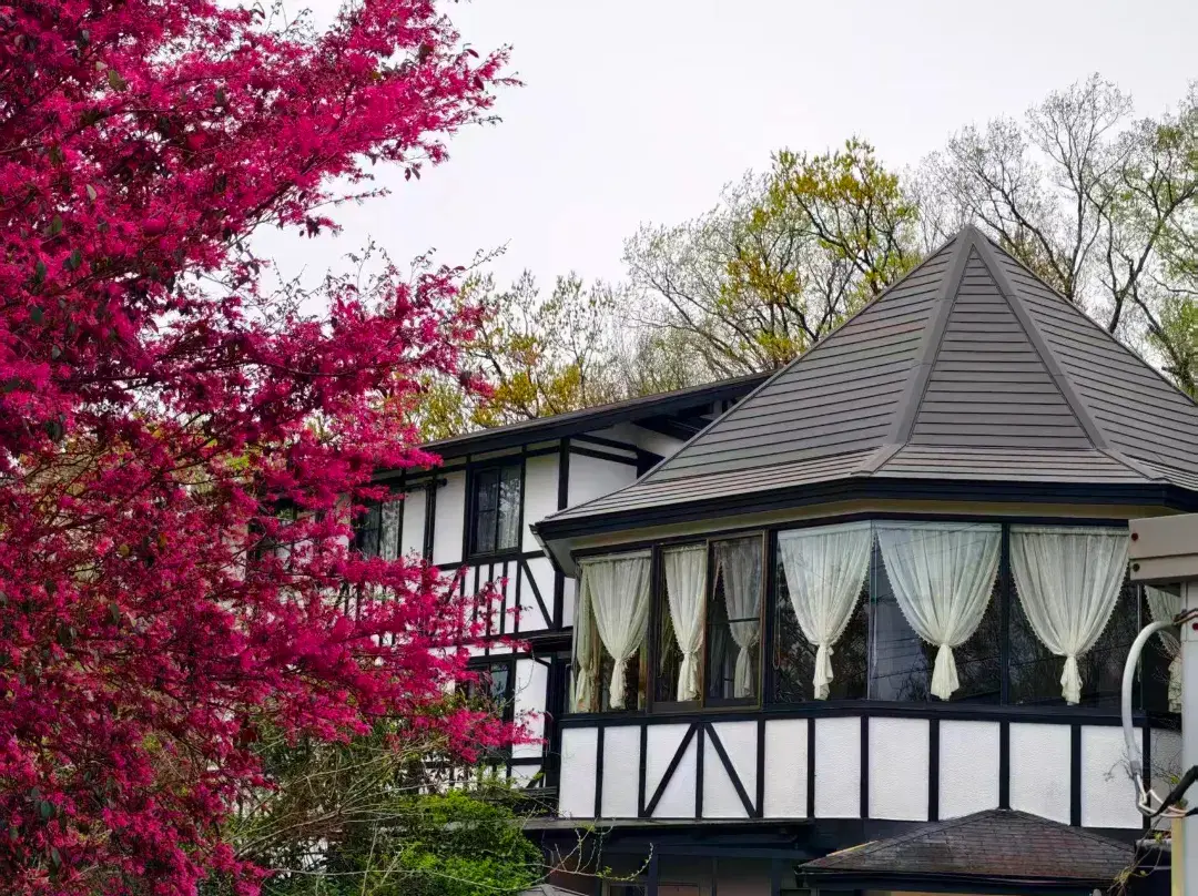 Floral Hotel · Sakura-zaka Onsen - 이토시